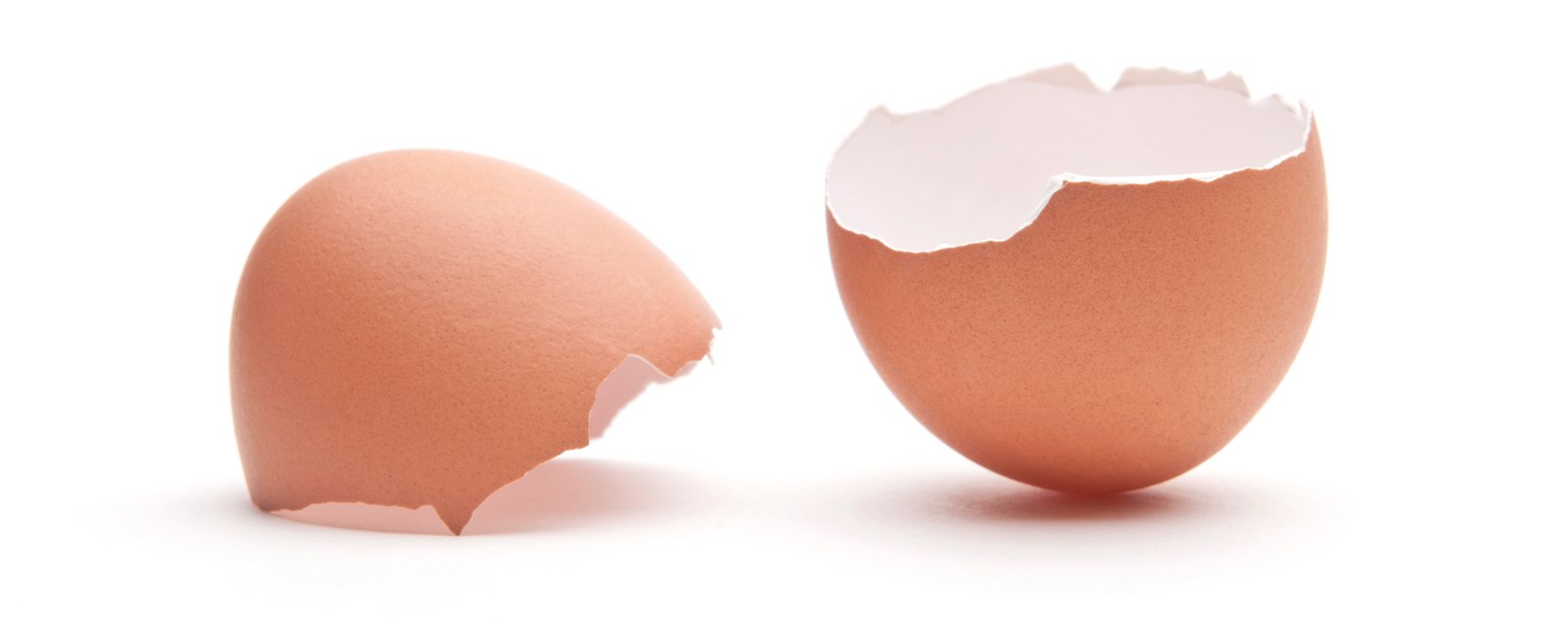 egg-shell-powder-has-health-benefits