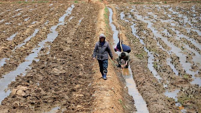 un-meals-organisation-goals-to-reinforce-resource-to-north-korea-however-lacks-price-range
