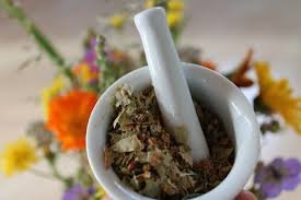 saudi-herbal-medicine-shows-anticancer-potential