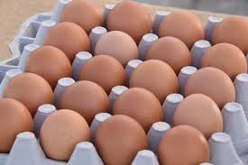 french-egg-industry-launches-origin-label