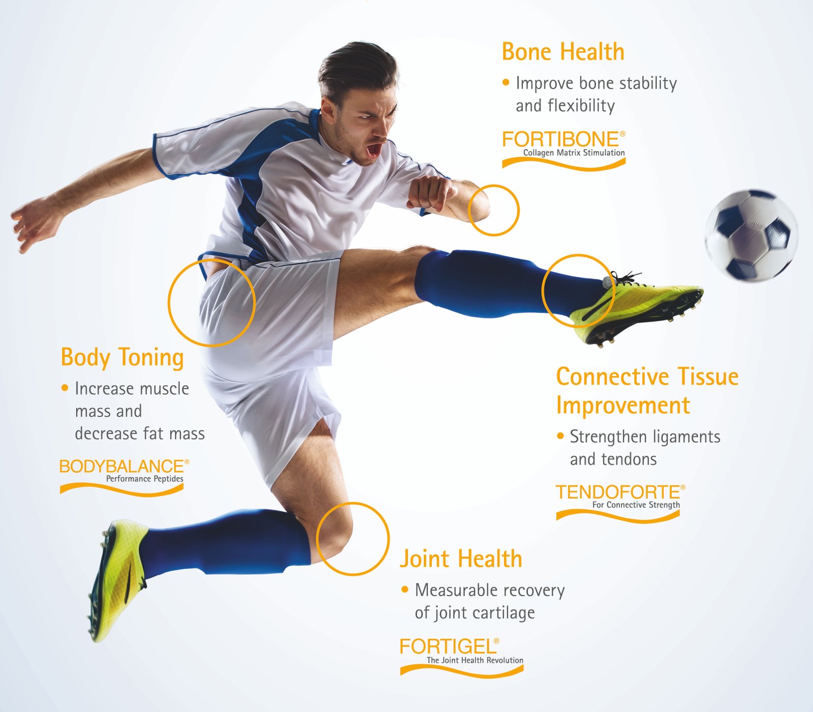 gelita-to-showcase-its-latest-collagen-innovations-at-the-upcoming-nutraingredients-sports-nutrition