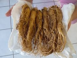 the-korea-ginseng-associations-regional-festivals-sees-an-increase-in-the-participation-of-foreign-tourists