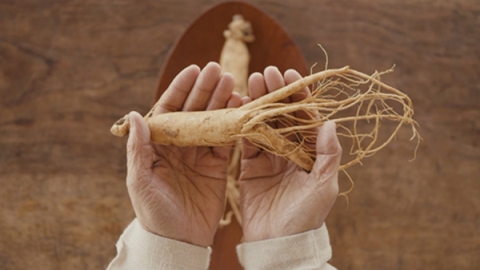 red-ginseng-of-kgc-group-represents-70-of-the-korean-healthy-food-market
