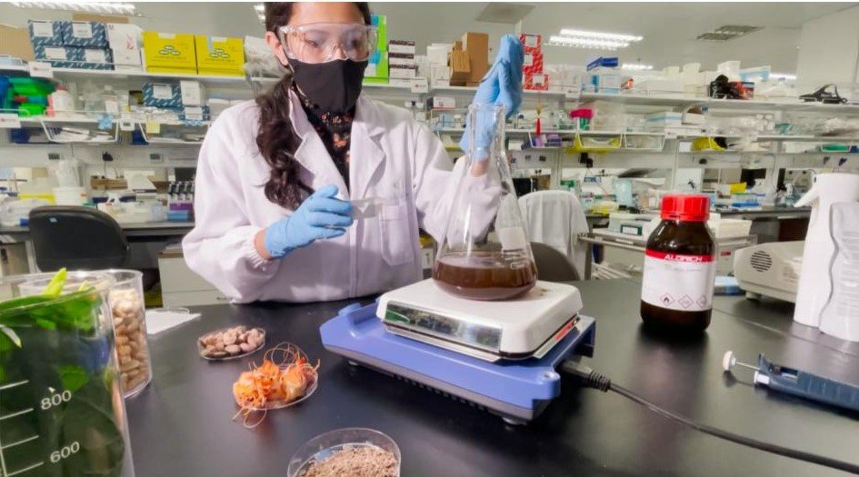 singapore-based-medtech-startup-converts-cashew-waste-into-an-organic-anti-microbe-solution