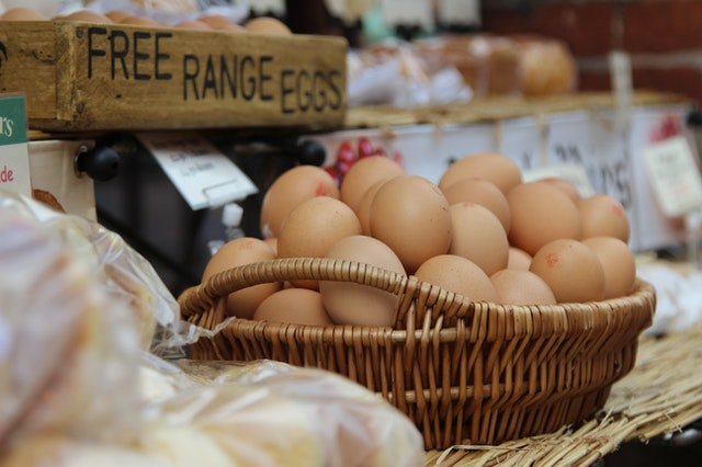 rise-in-demand-for-cage-free-eggs-in-hong-kong