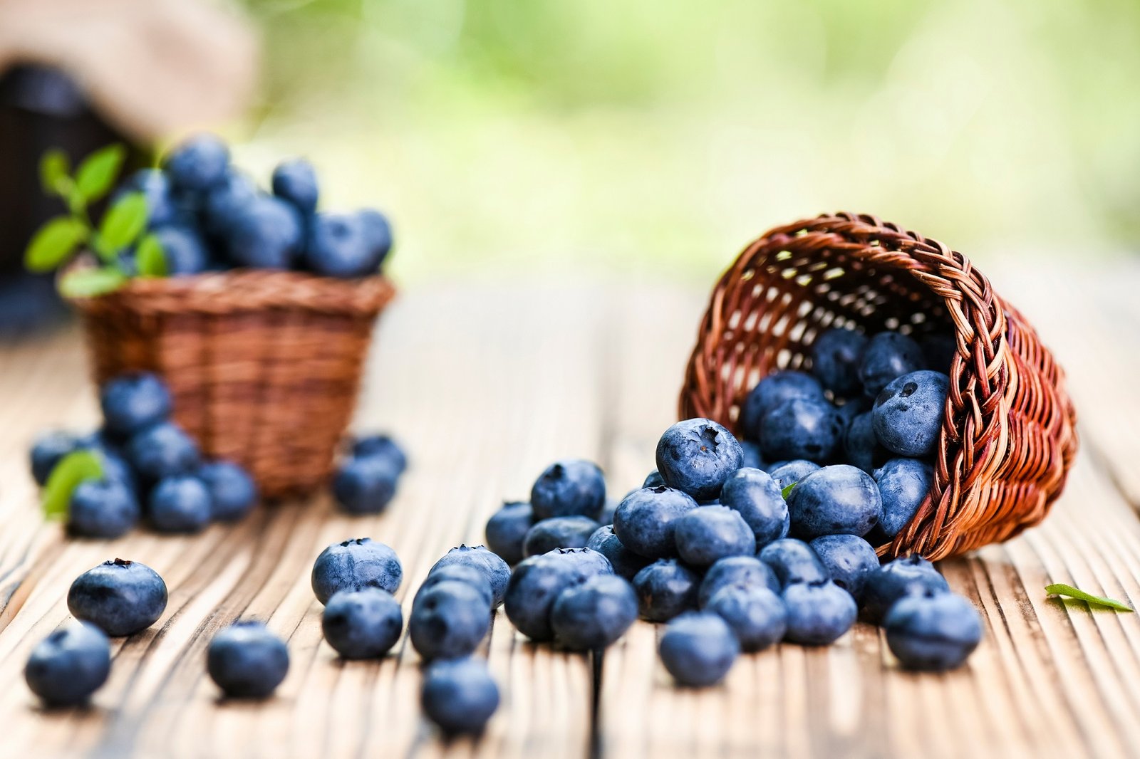 innovative-packaging-to-keep-blueberries-fresh