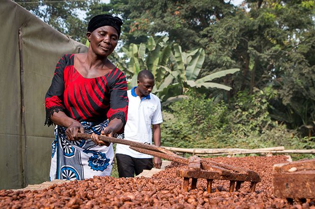 barry-callebaut-empowers-cocoa-growers-in-tanzania